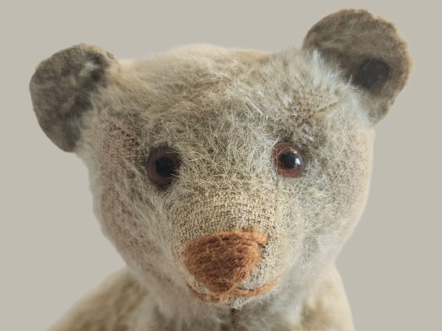 Rare grauer Steiff - Teddy Bear / Original Teddy Bear - Pre